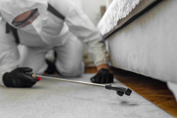Professional Bed Bug Control technician working in Clinton, KY